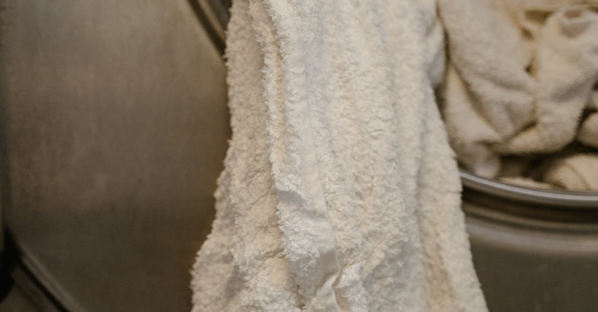 A Guide to Eco-Friendly Ironing Practices at Local Laundromats