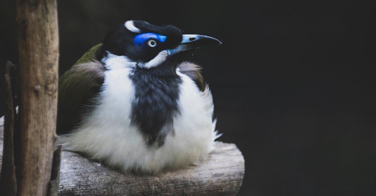 How to Prepare Your Clothing for Dry Cleaning in Perth