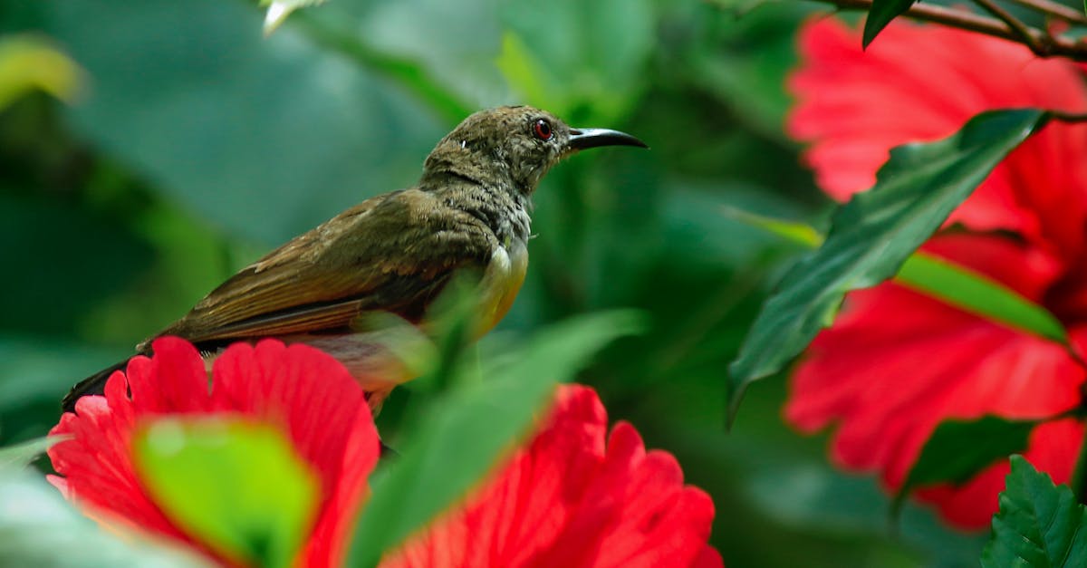 How Wash and Fold Services Enhance Your Laundromat Experience