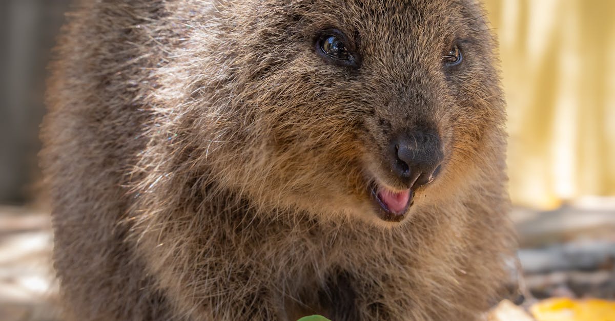 Positive Transformation Stories from Regular Laundromat Users